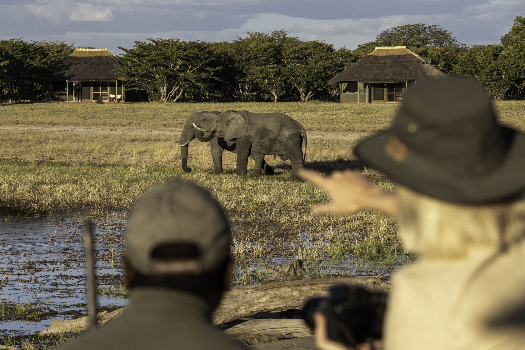Guests on a guided walk watching elephants in front of Camp Hwange, Hwange National Park