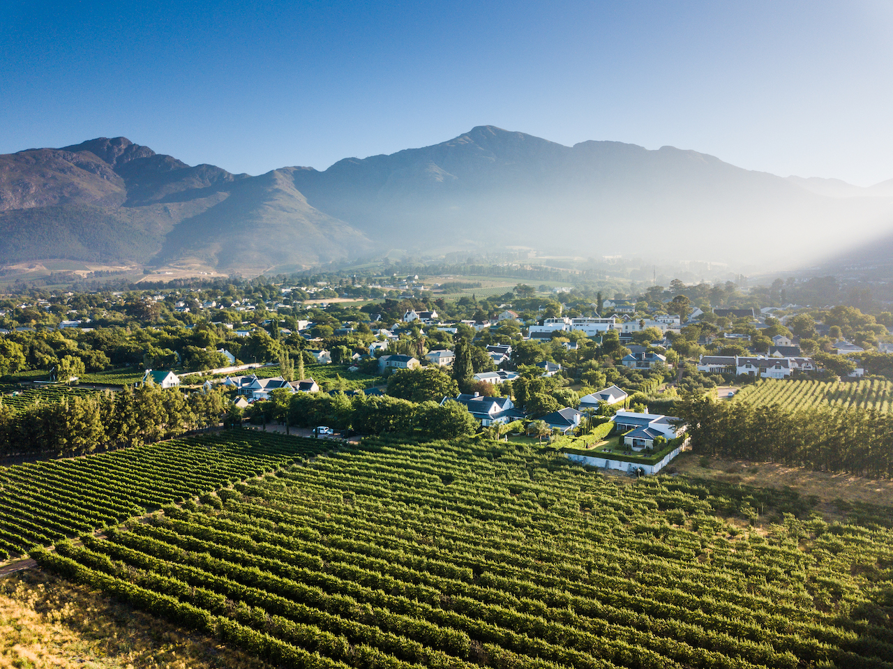 Whales, Wine and Wilderness